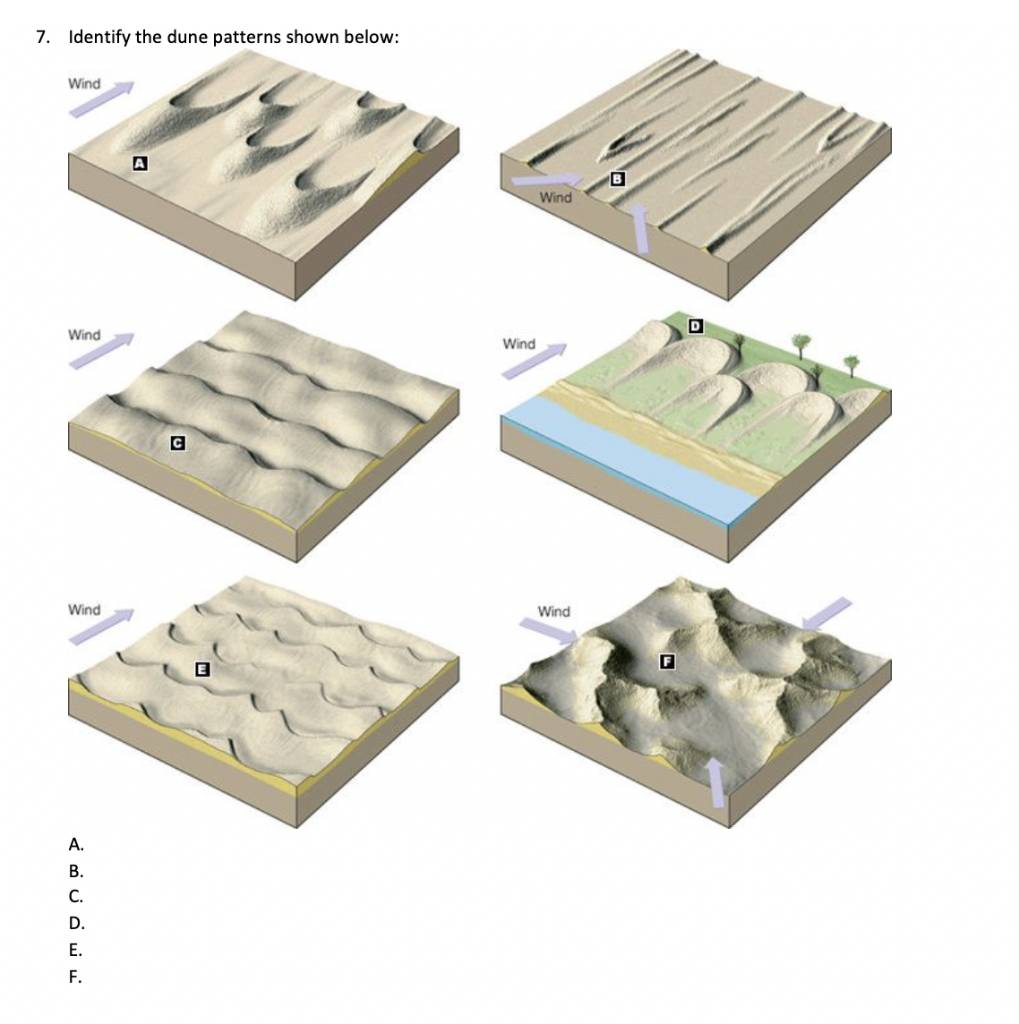 Solved 7. Identify the dune patterns shown below: Wind Wind | Chegg.com