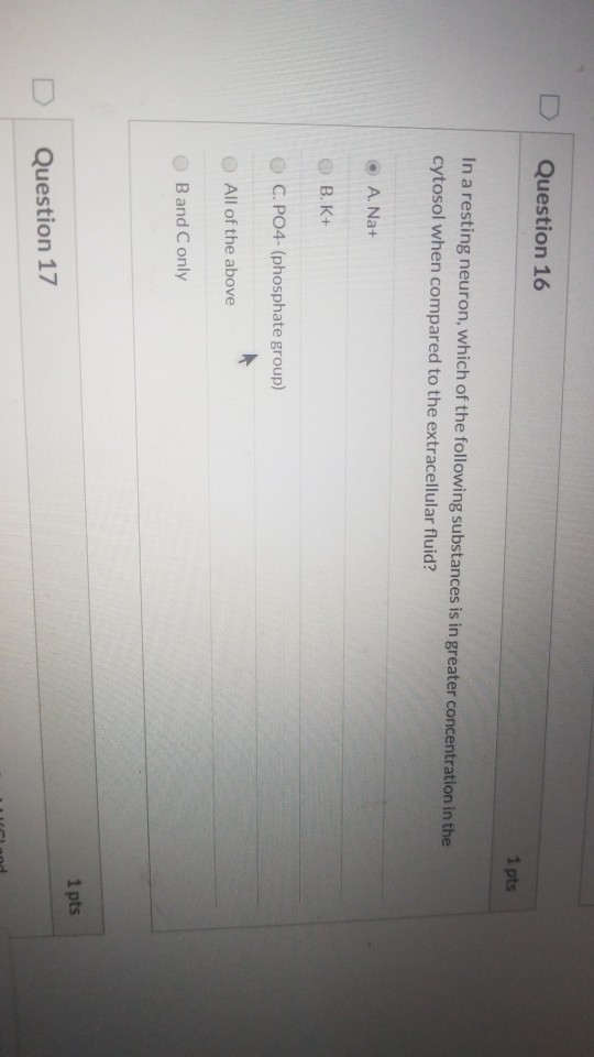 Solved Question 19 1 pts A given neuron (human cell) has a | Chegg.com