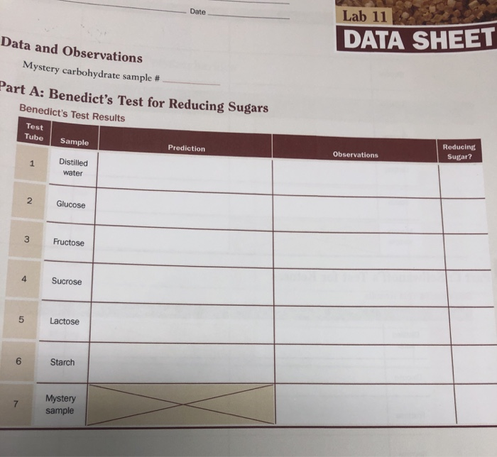 Solved Lab 11 Date DATA SHEET Data and Observations Mystery | Chegg.com