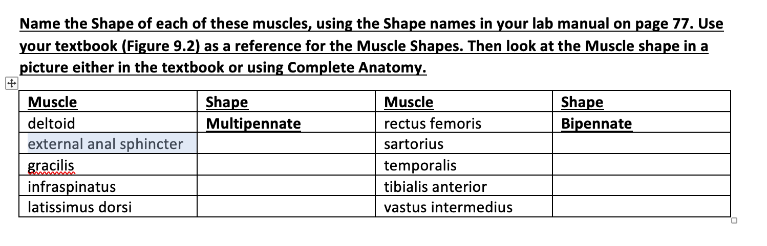 Solved Name the Shape of each of these muscles, using the | Chegg.com