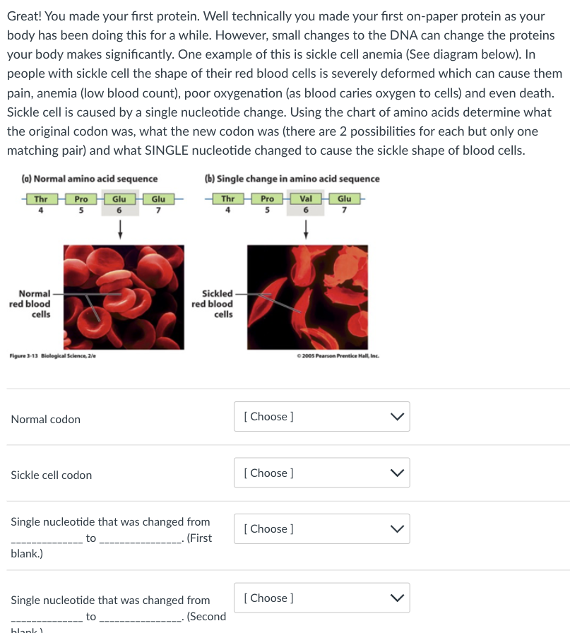 Solved Now use the chart of amino acids below to translate