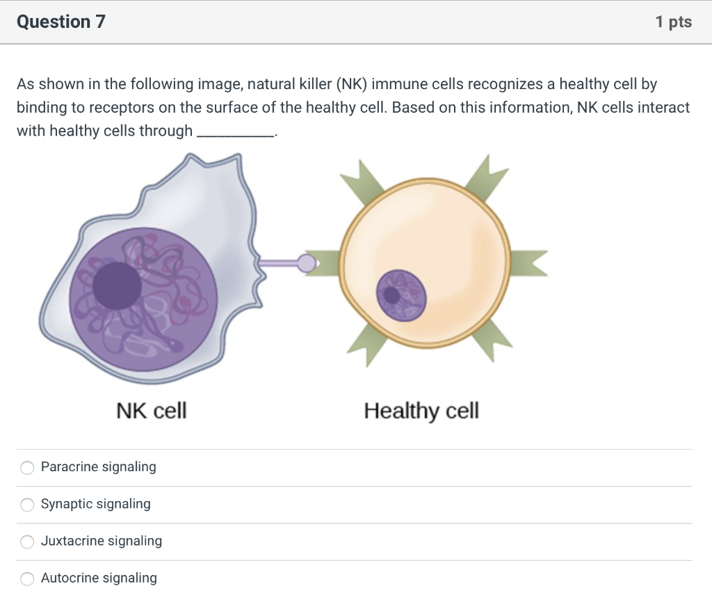 Solved Question 6 1 Pts The Process Of Engulfing A Bacterium Chegg Com