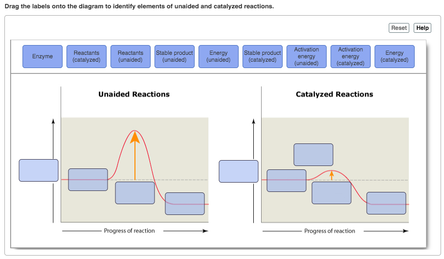 Solved Drag the labels onto the diagram to identify elements | Chegg.com