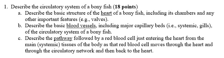 Solved: 1. Describe The Circulatory System Of A Bony Fish | Chegg.com