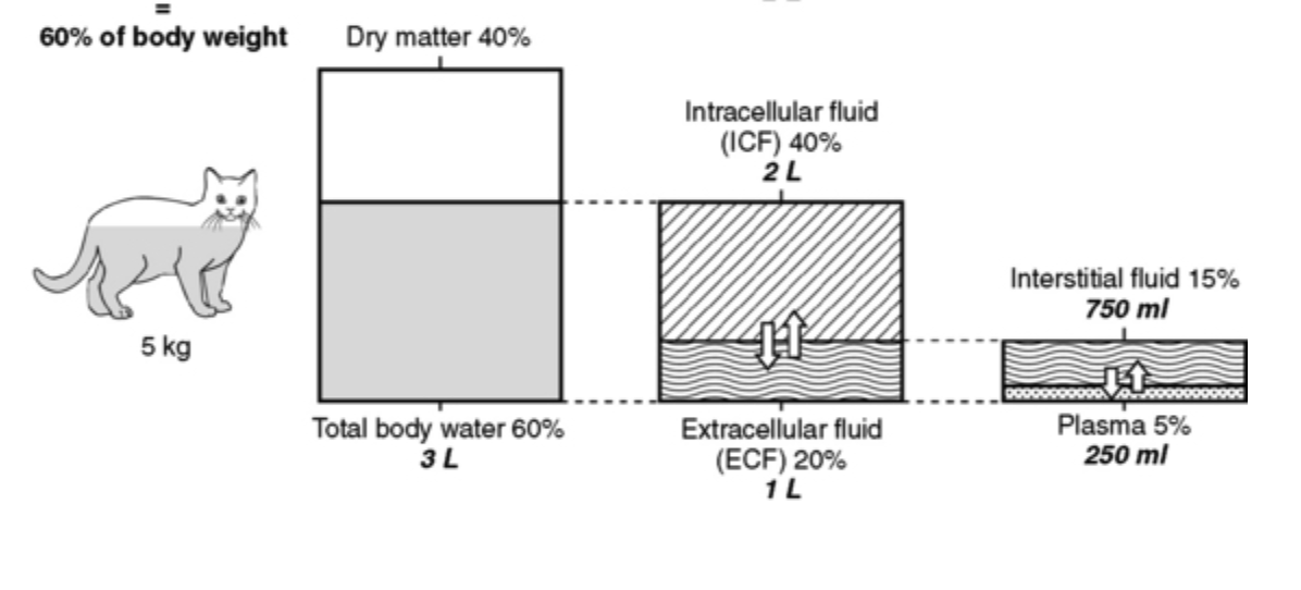 solved-how-did-3l-became-2l-and-1l-i-don-t-understand-why-chegg