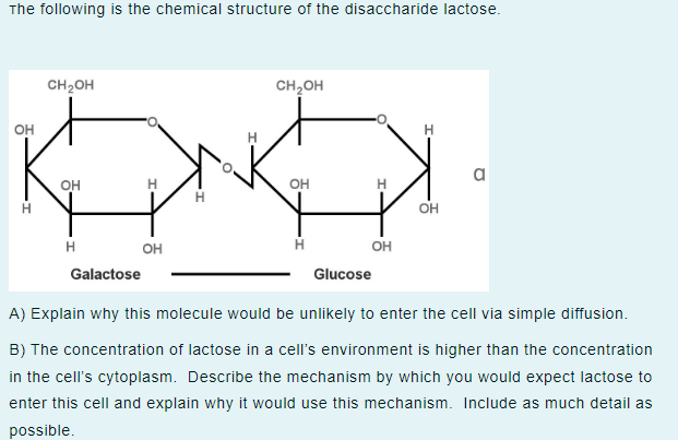 lactose structure diagram