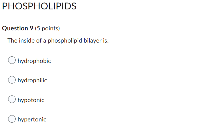 The inside of a phospholipid bilayer is:
hydrophobic
hydrophilic
hypotonic
hypertonic