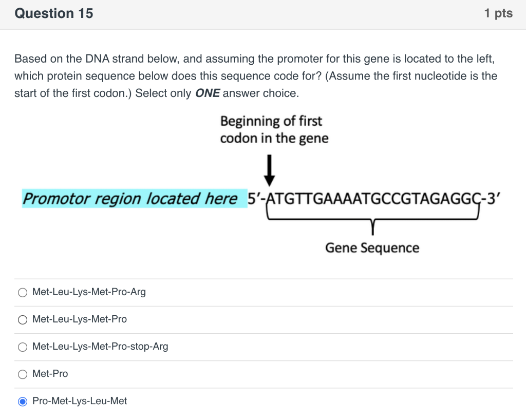 Solved Question Pts Based On The Dna Strand Below And Chegg Com