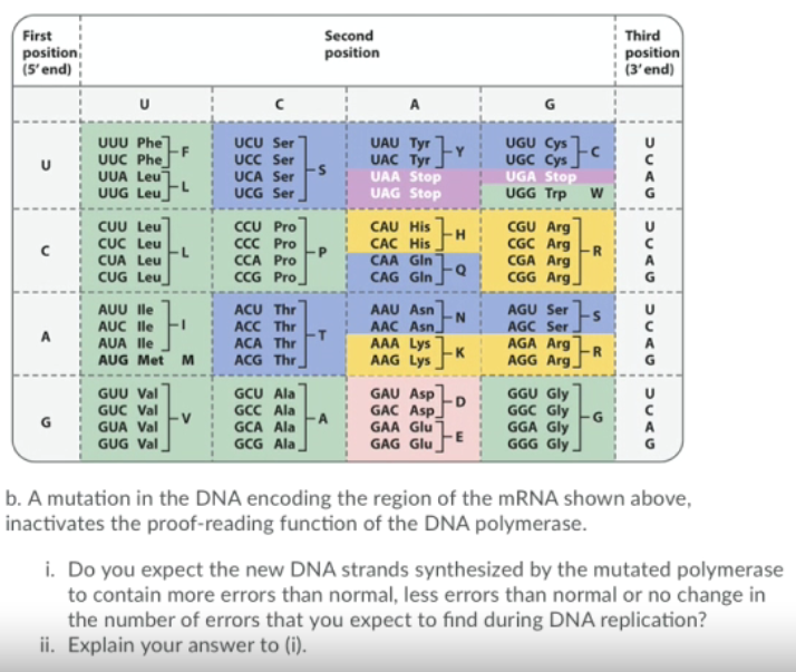 Question Use The Codon Chart Below To Determine The Amino Acid Sequence Of The Protein 4639