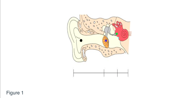 Solved A complex sound with the following spectrum (Figure | Chegg.com