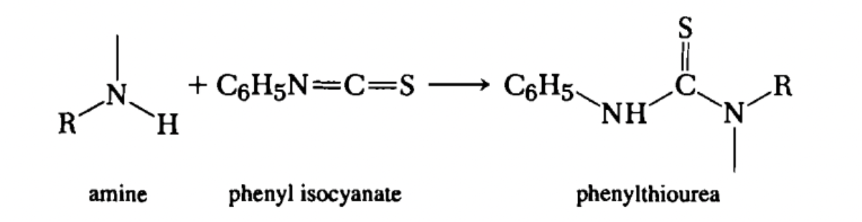 Solved Draw the phenylthiourea derivative of | Chegg.com