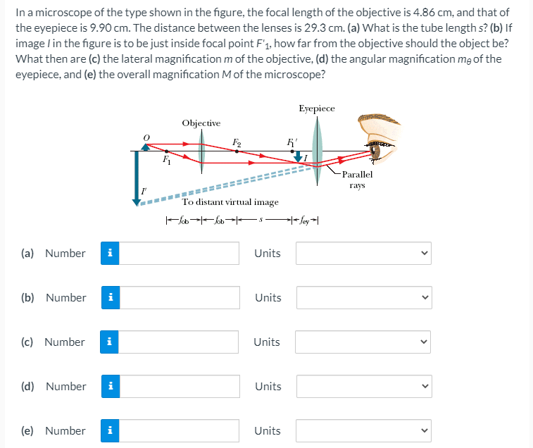Solved In a microscope of the type shown in the figure, the | Chegg.com