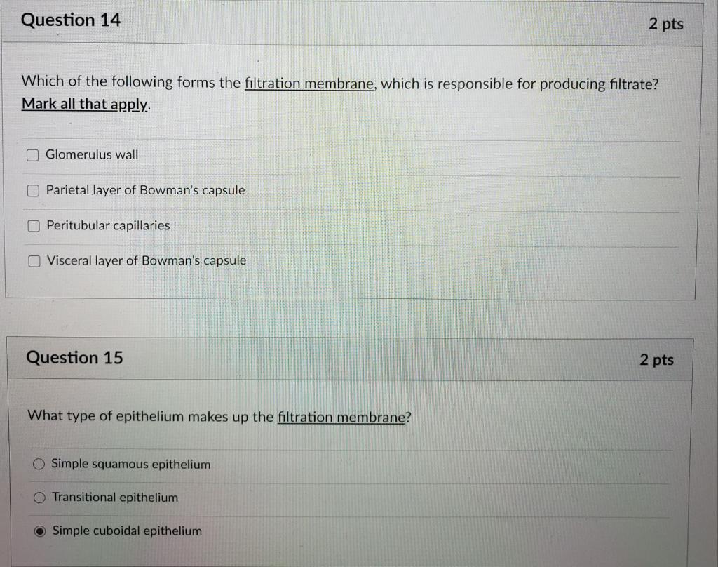 Solved Question 14 2 pts Which of the following forms the | Chegg.com