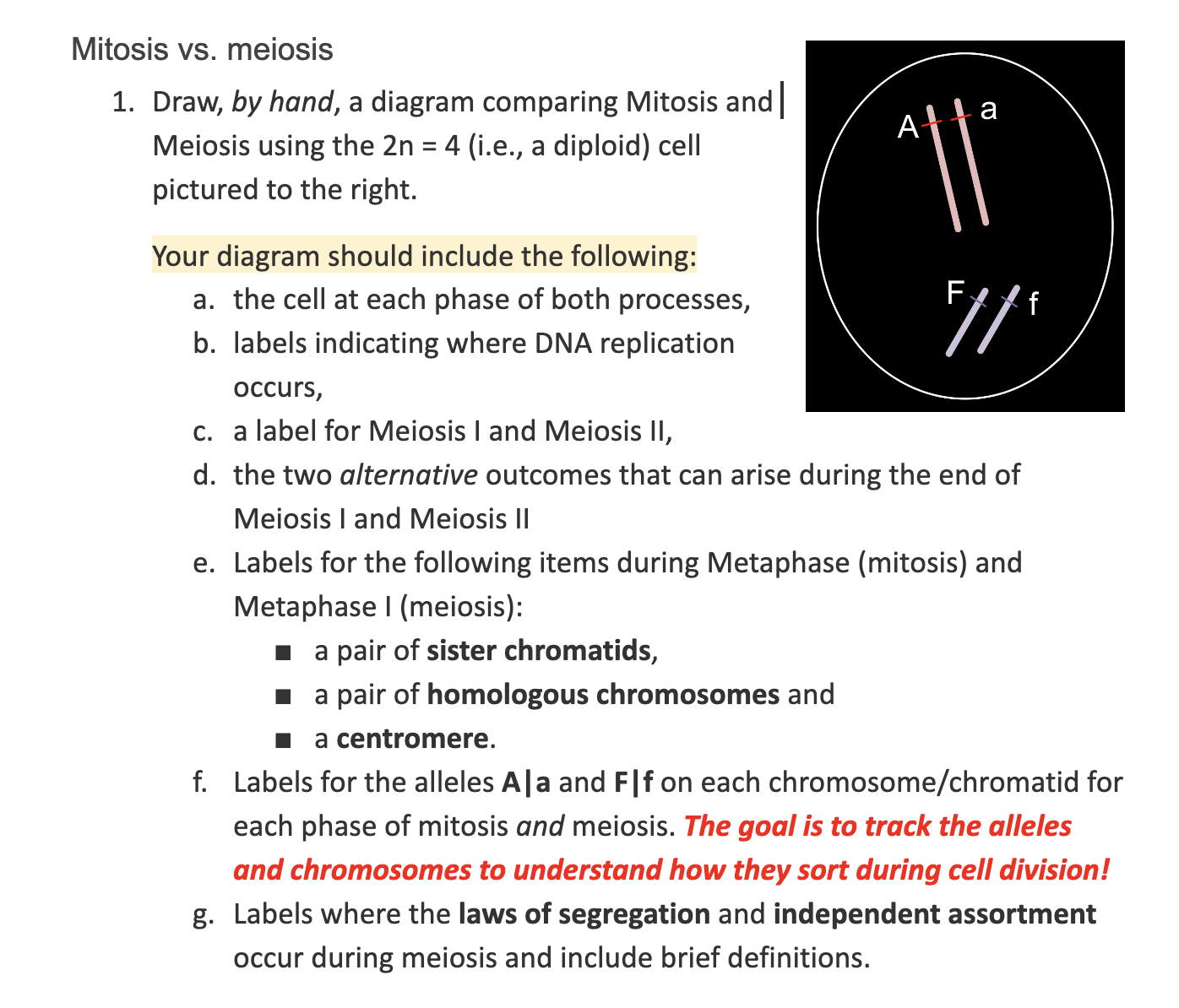 Mitosis vs. meiosisDraw, by hand, a diagram Biology Diagrams