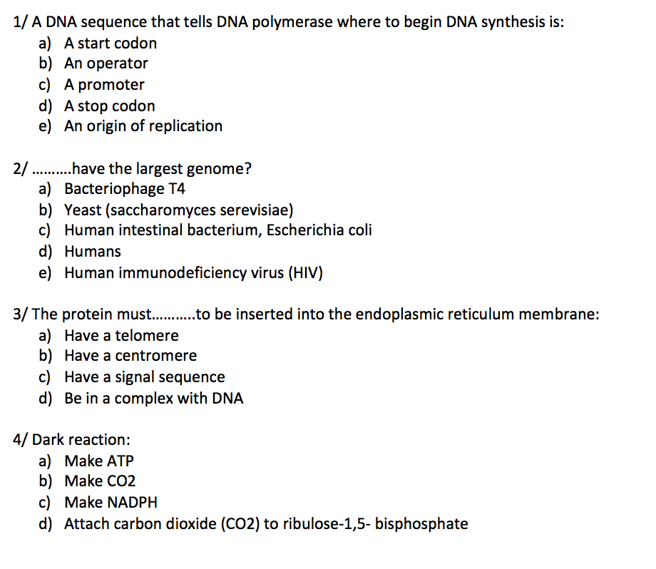 Solved 1/ A DNA sequence that tells DNA polymerase where to | Chegg.com