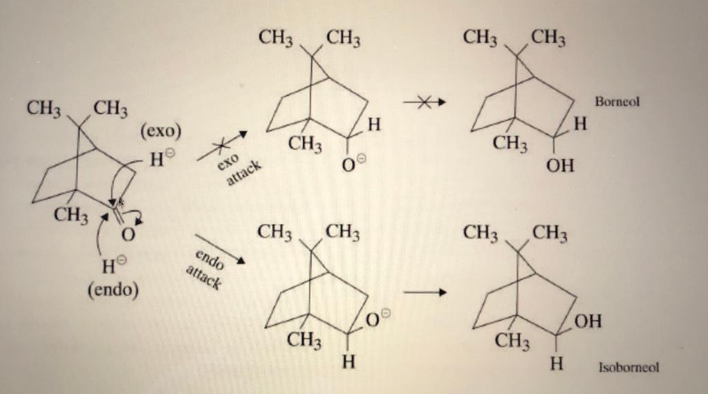 Solved Please write the mechanisms for the Exo attack for