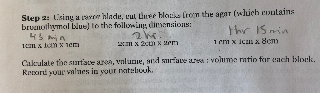 Step 2: Using a razor blade, cut three blocks from | Chegg.com