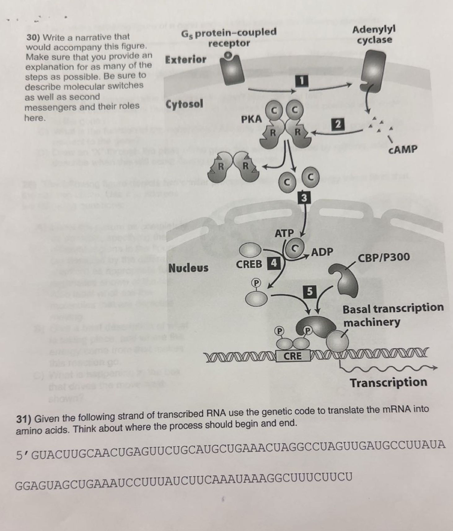 Solved Write a narrative thatwould accompany this | Chegg.com