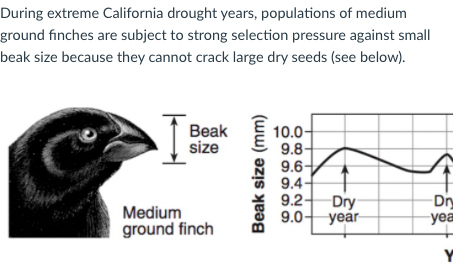 Solved You and your colleagues have determined that during | Chegg.com
