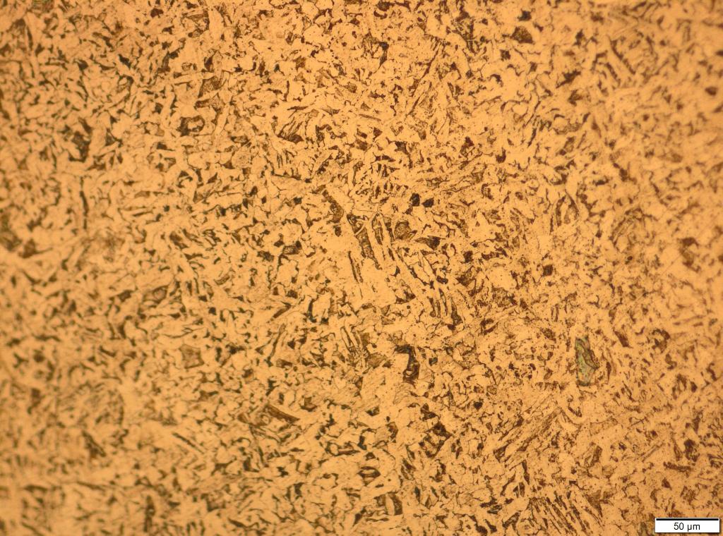 Solved (1) An edited micrograph showing a couple of labeled | Chegg.com