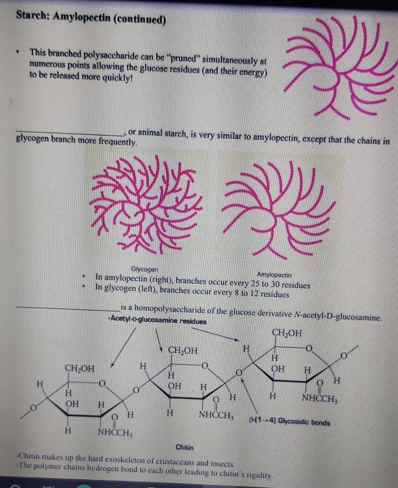 Solved Starch: Amylopectin (continued) . This branched 