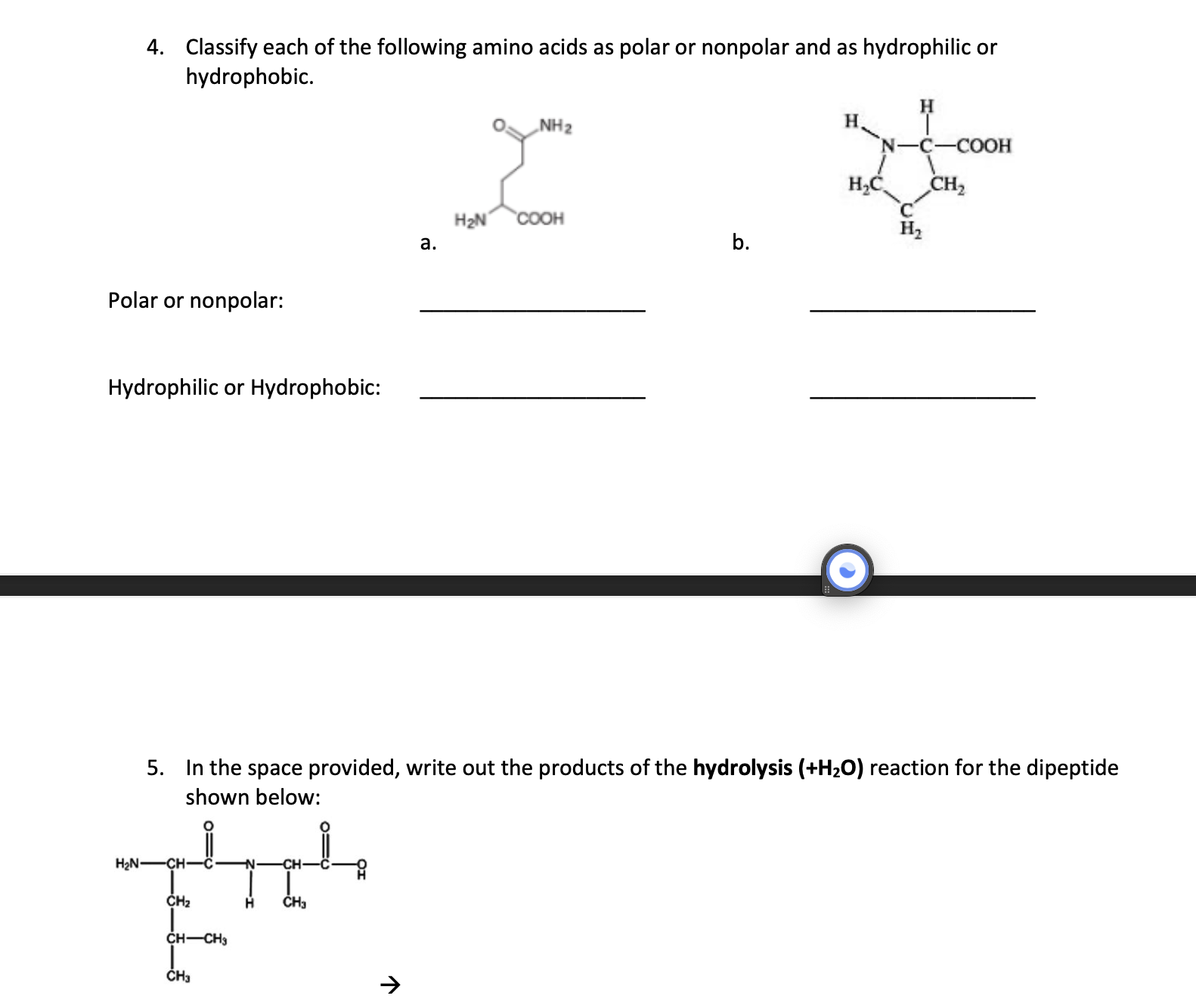 Solved 4. Classify each of the following amino acids as | Chegg.com