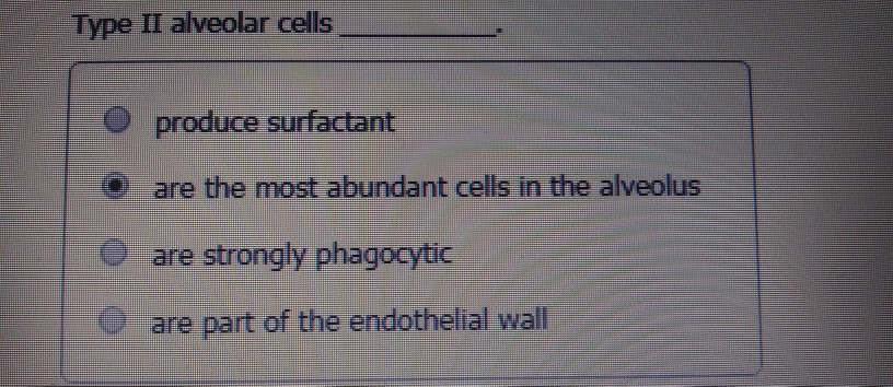 Solved Type II alveolar cells produce surfactant are the | Chegg.com