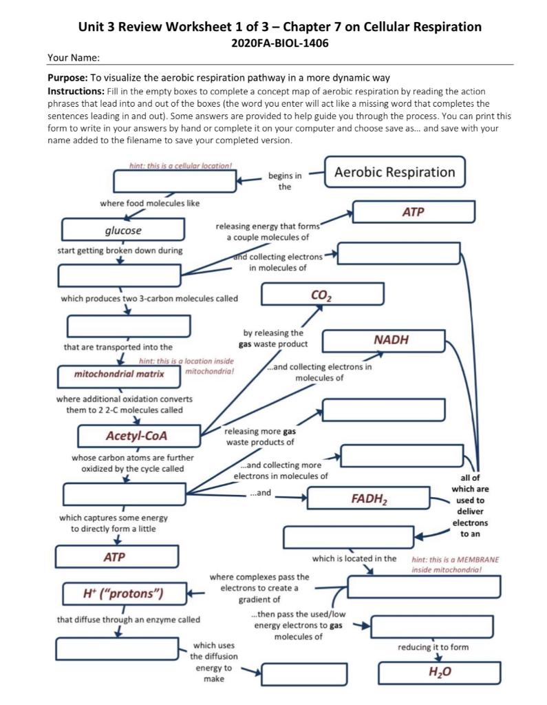 Unit 22 Review Worksheet 22 of 22 - Chapter 22 on  Chegg.com With Cell Concept Map Worksheet Answers