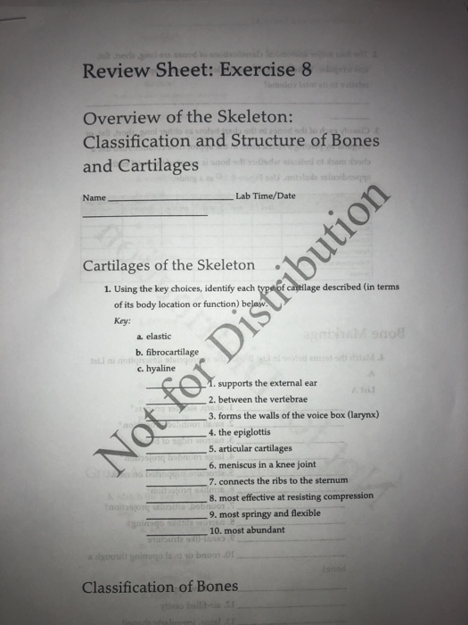 case study 4 bone breakdown answers