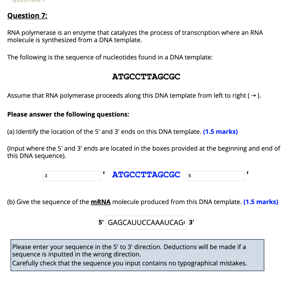 Solved Question 6: In a sample of double-stranded DNA, there | Chegg.com