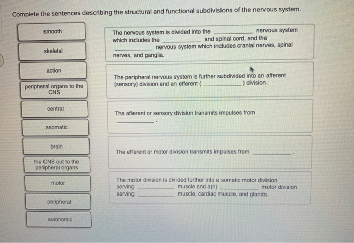 solved-complete-the-sentences-describing-the-structural-and-chegg