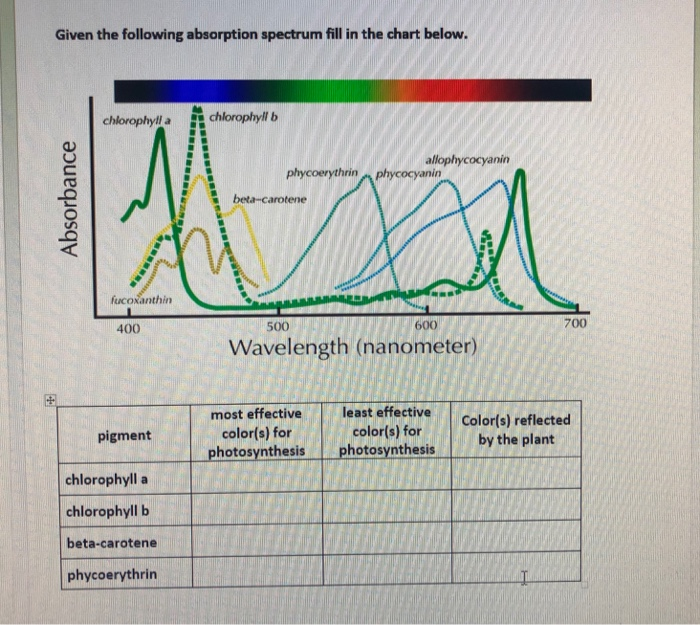 Solved Given the following absorption spectrum fill in the | Chegg.com