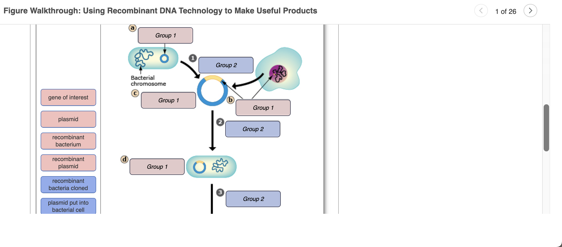 Solved Figure Walkthrough Using DNA Technology
