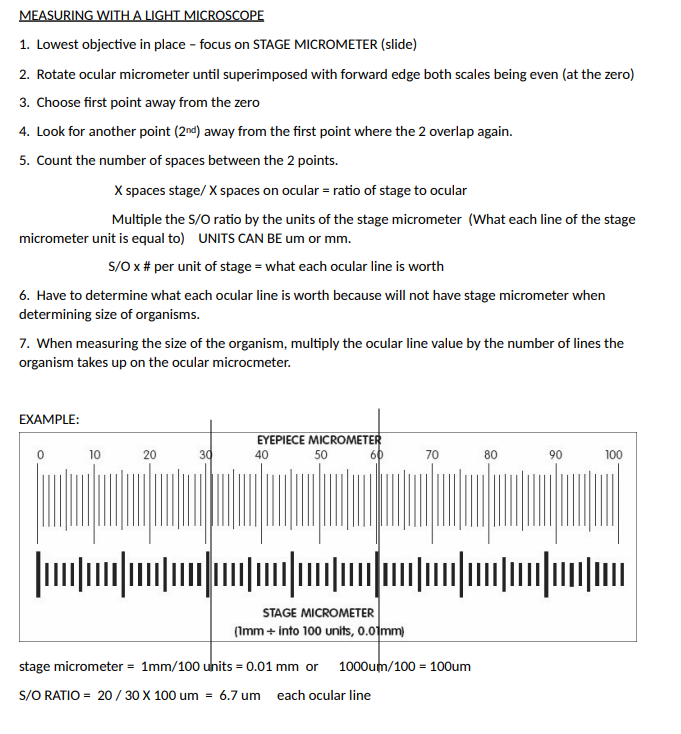4. Calibrate the ocular micrometer using the stage