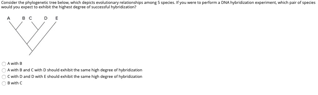 Solved Consider the phylogenetic tree below, which depicts | Chegg.com