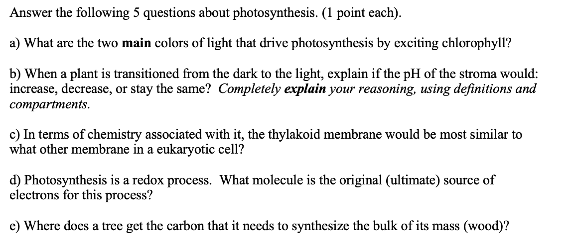 photosynthesis critical thinking questions answers