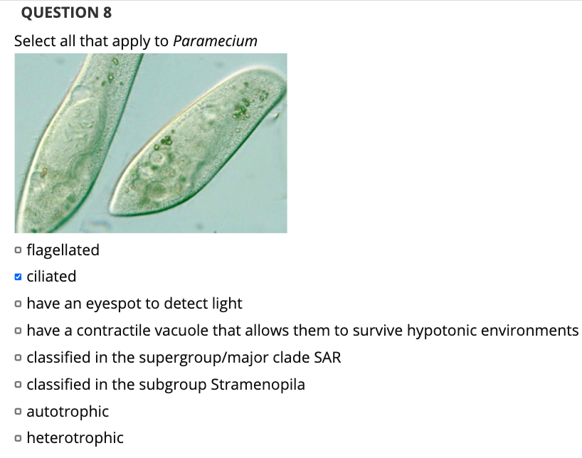 Solved QUESTION 8 Select all that apply to Paramecium o | Chegg.com