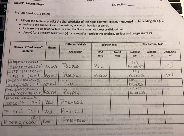 Solved Bio 230 Microbiology Lab section 2 te Prelab
