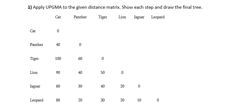 Solved 1) Apply UPGMA to the given distance matrix. Show | Chegg.com