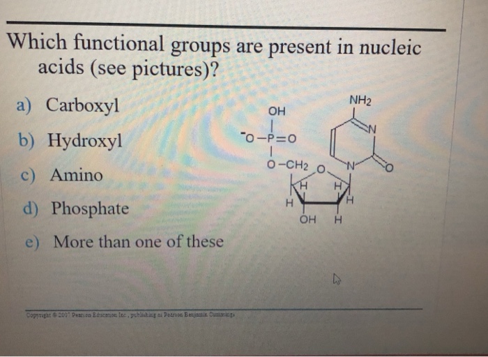 Solved Which functional groups are present in nucleic acids