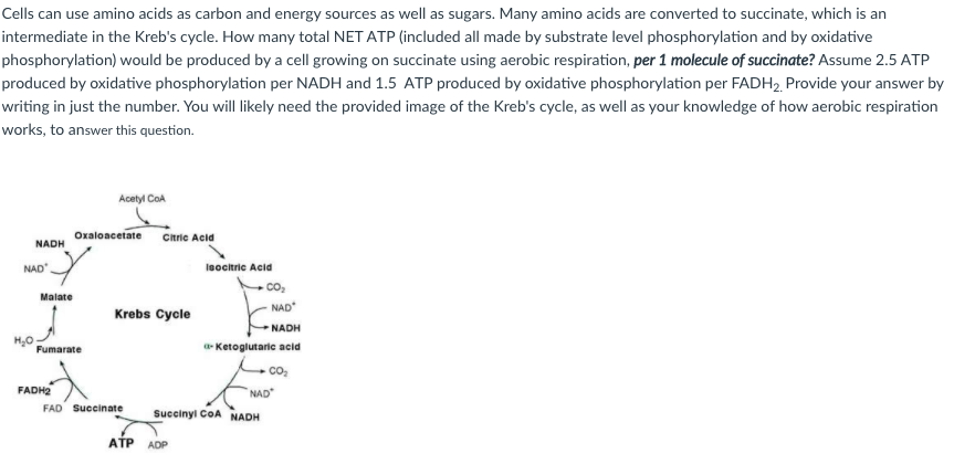 Solved Cells can use amino acids as carbon and energy | Chegg.com