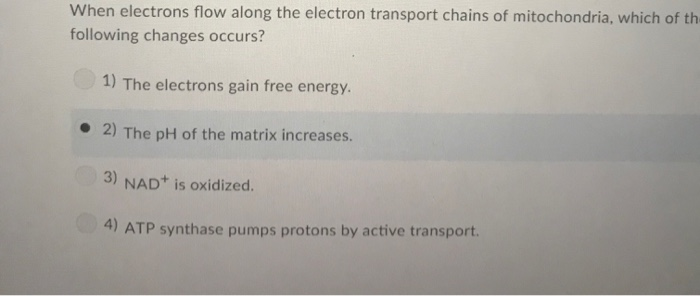 What Compound Directly Provides Energy For Cellular Work Solved What compound directly provides energy for cellular | Chegg.com