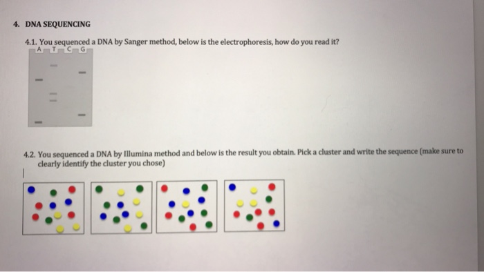 Solved 4. DNA SEQUENCING 4.1. You sequenced a DNA by Sanger | Chegg.com