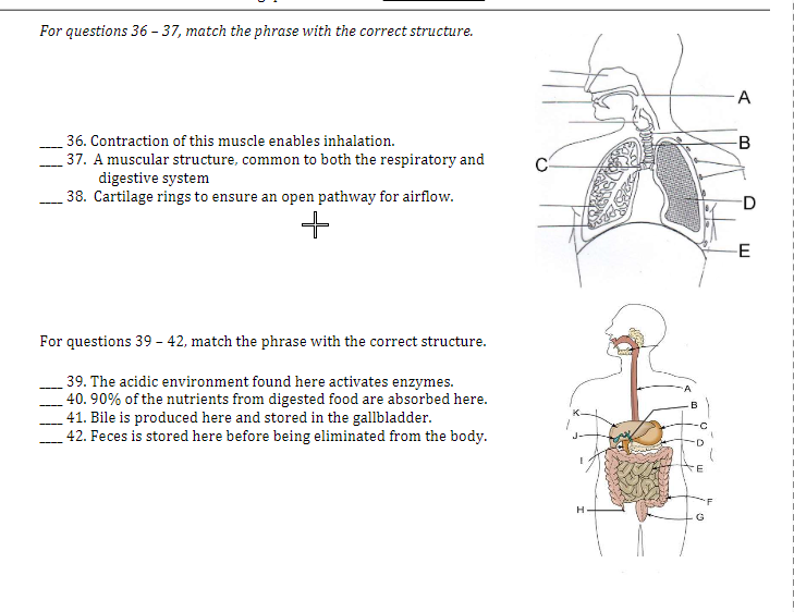 Solved For questions 36−37, match the phrase with the | Chegg.com