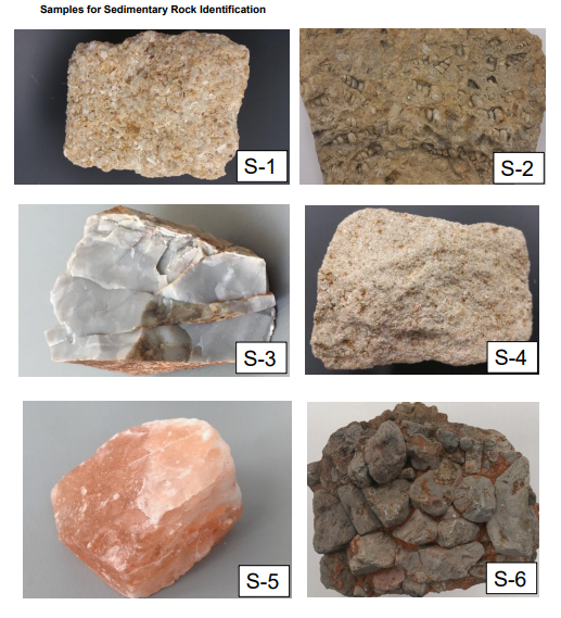 Solved Samples for Sedimentary Rock Identification S-1 S-2 | Chegg.com