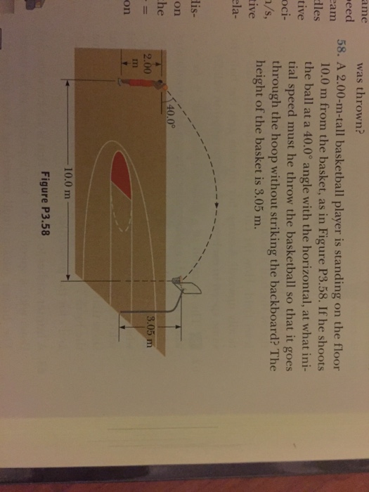 Solved A 2.00-m-tall basketball player is standing on the | Chegg.com