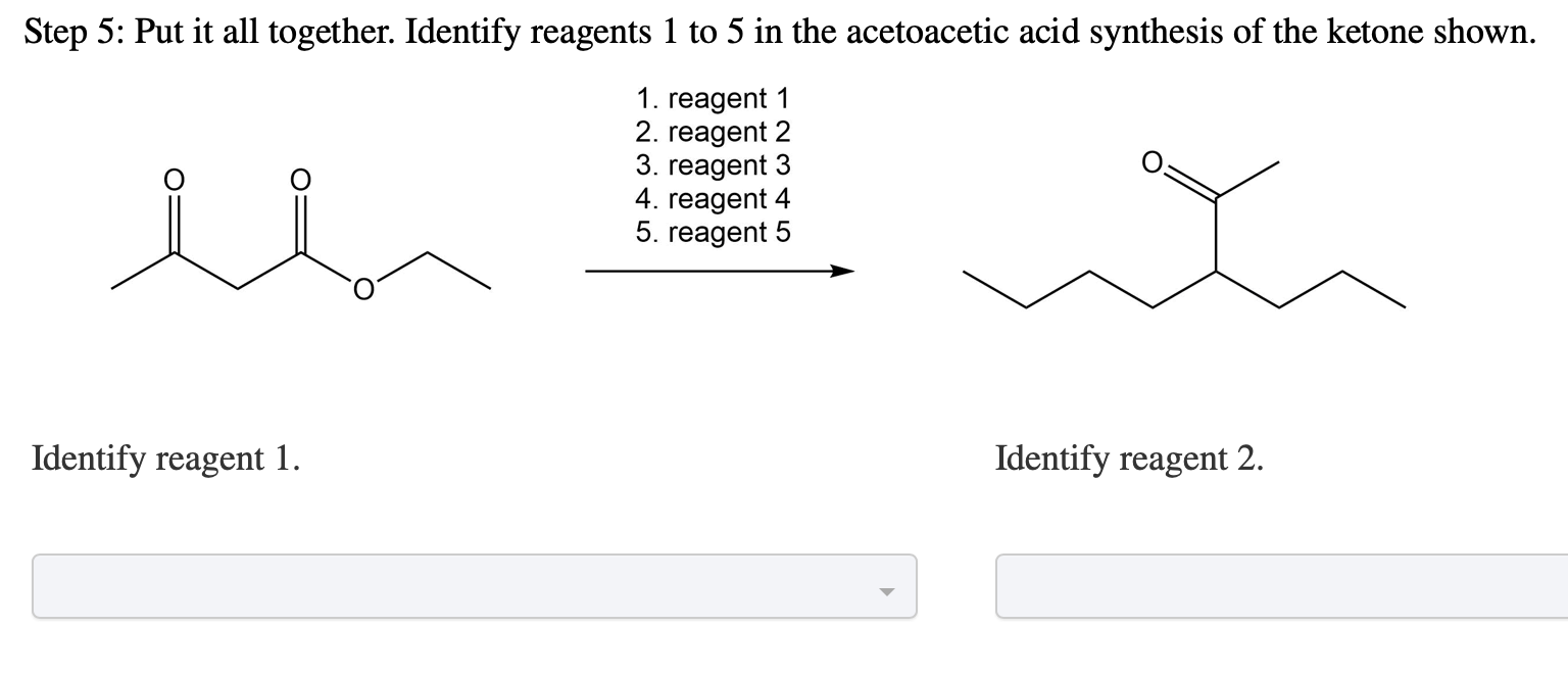 Solved Synthesize The Compound Shown Using The Acetoacetic 3628