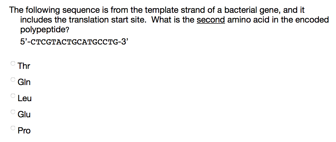 Solved The following sequence is from the template strand of | Chegg.com