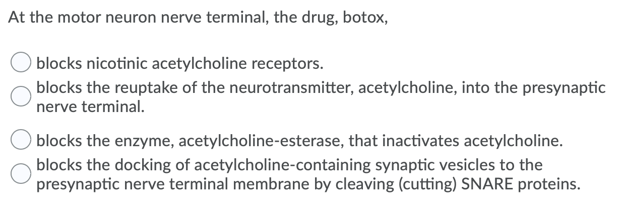 Solved At the motor neuron nerve terminal, the drug, botox, | Chegg.com