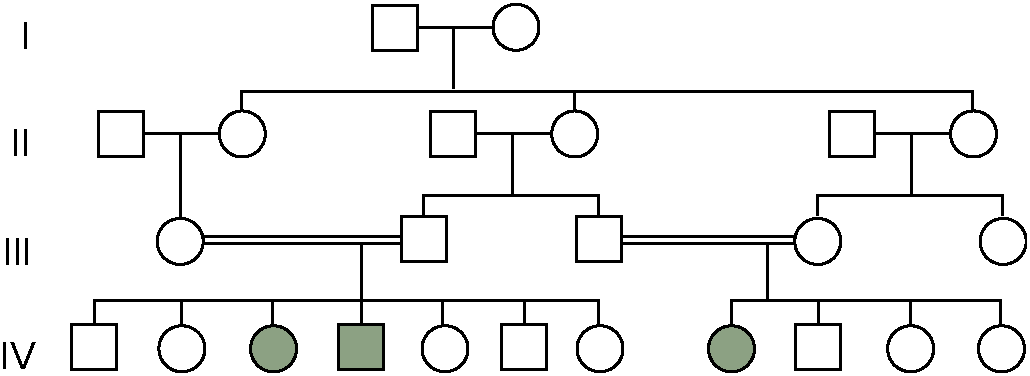 Solved The pedigree shown is for the condition known as | Chegg.com